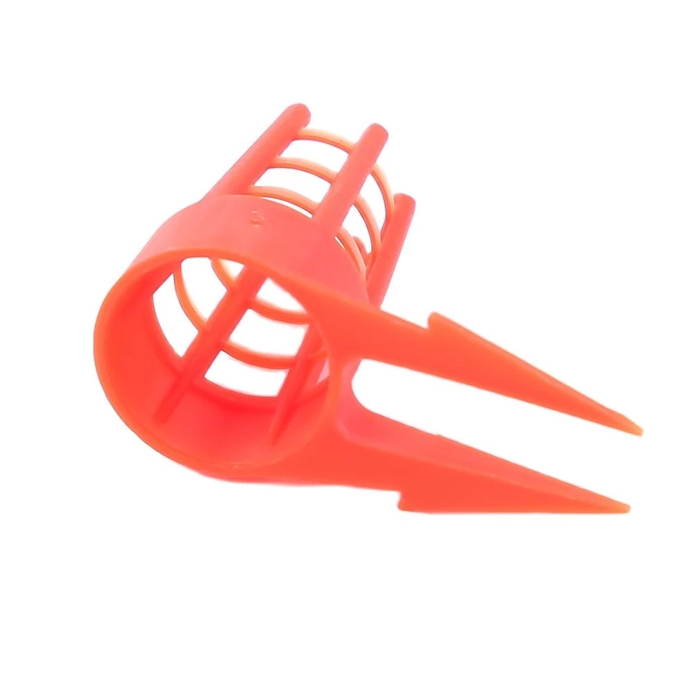 Begonia Rex - 20 Pcs Bee Protective Cover Cell