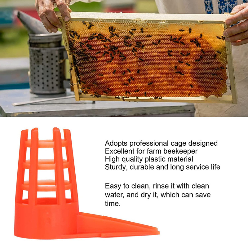 20 PcsKing Cells Plastic Bee Q - огляд і ціна Begonia Rex