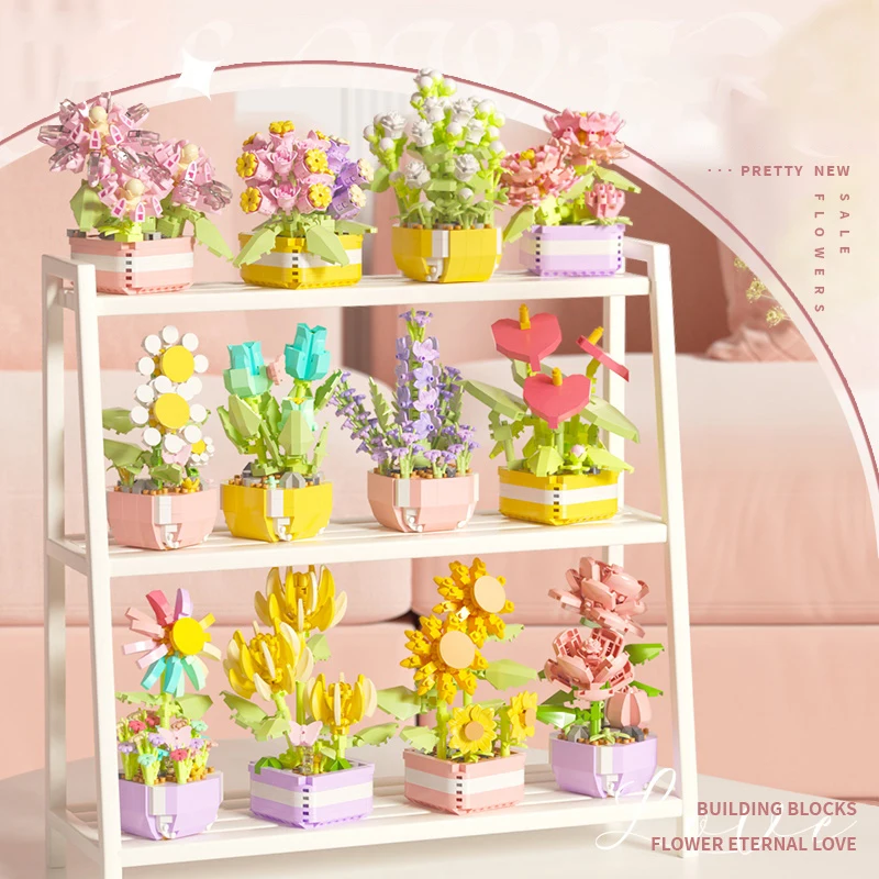 Flower Succulents Building Blo - огляд і ціна Echeveria Succulent
