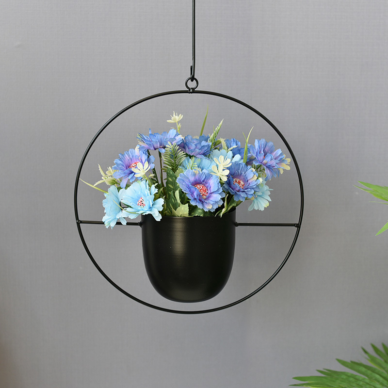 Wrought Iron Hanging Planter E - огляд і ціна Spider Plant Hanging