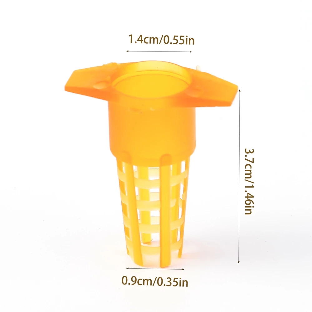 50 Pcs King Cells Plastic Bee  - огляд і ціна Begonia Rex