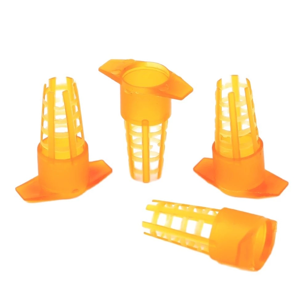 50 Pcs King Cells Plastic Bee  - огляд і ціна Begonia Rex