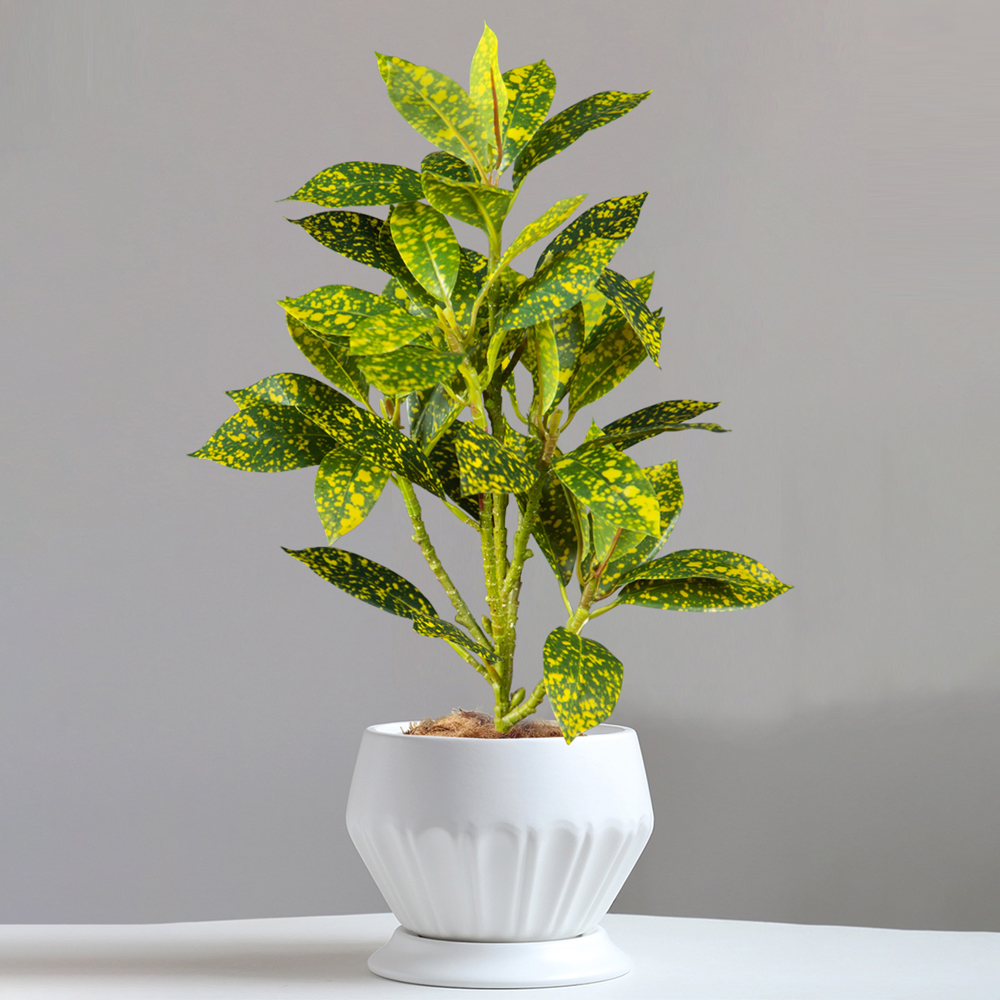 24-41cm Artificial Ficus Tree  - огляд і ціна Ficus Lyrata Tree
