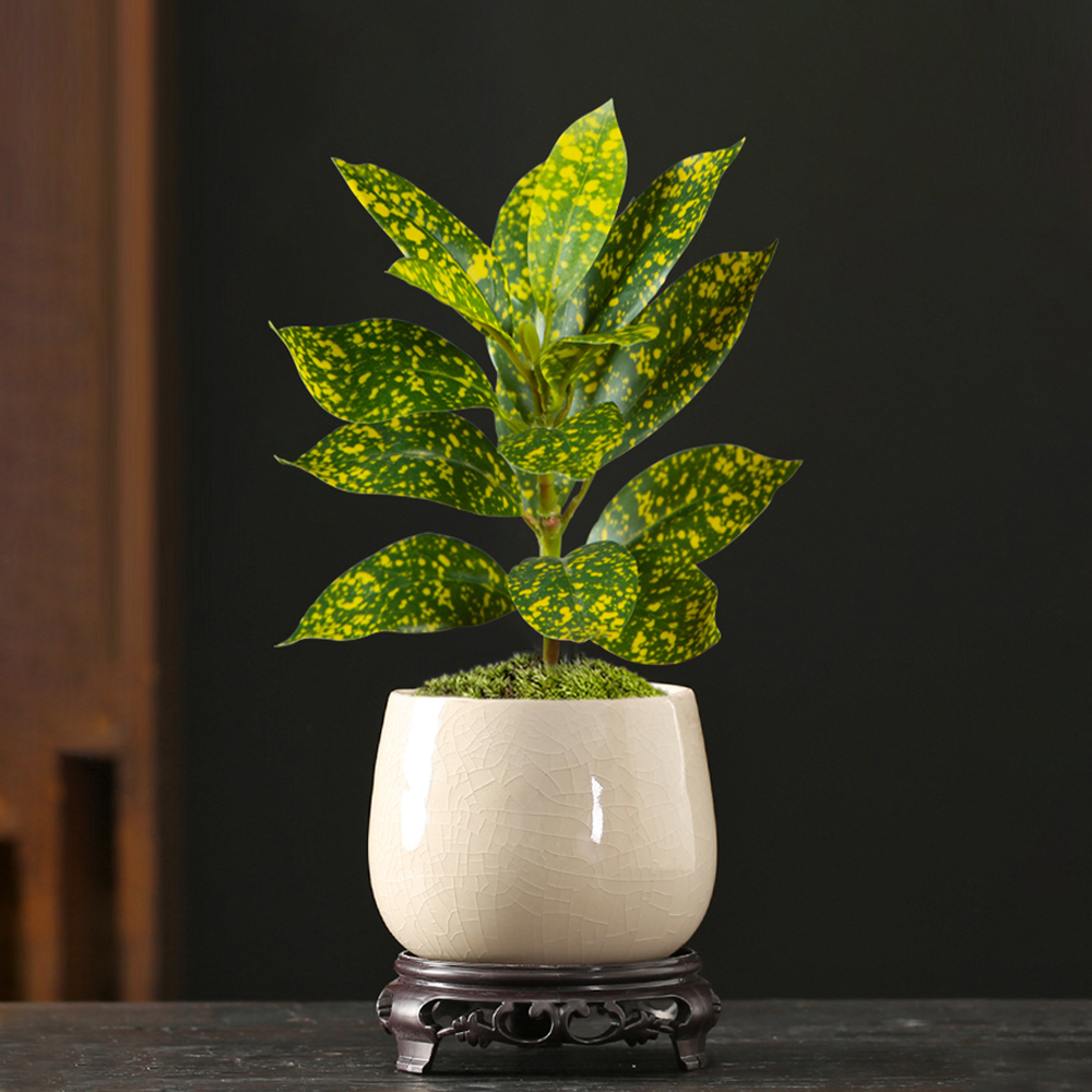 24-41cm Artificial Ficus Tree  - огляд і ціна Ficus Lyrata Tree