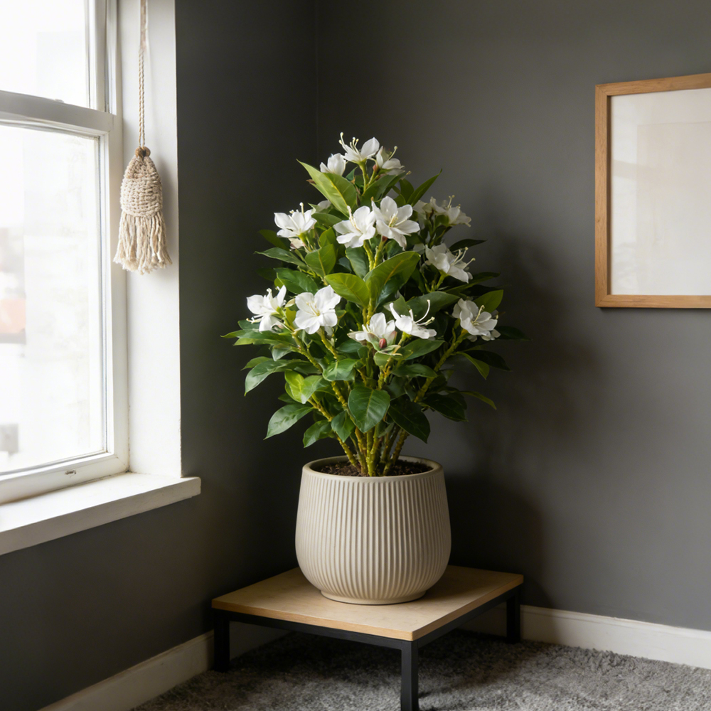 21-40cm Artificial Azalea Flow - огляд і ціна Ficus Lyrata Tree