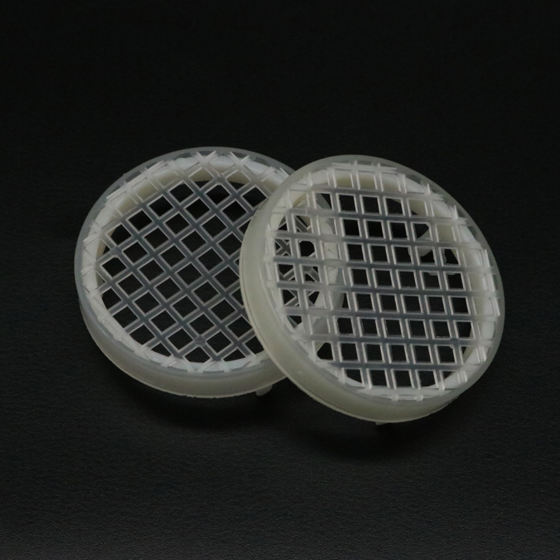 5PCS Bee Farm Round Queen Rear - огляд і ціна Begonia Rex