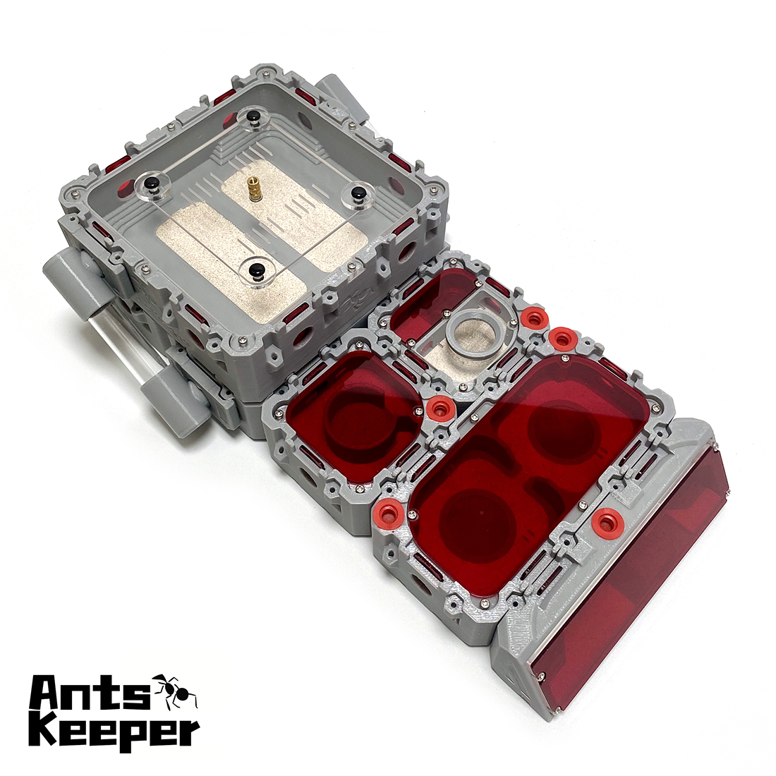 【Lego】Expandable Modular Formi - огляд і ціна Begonia Rex