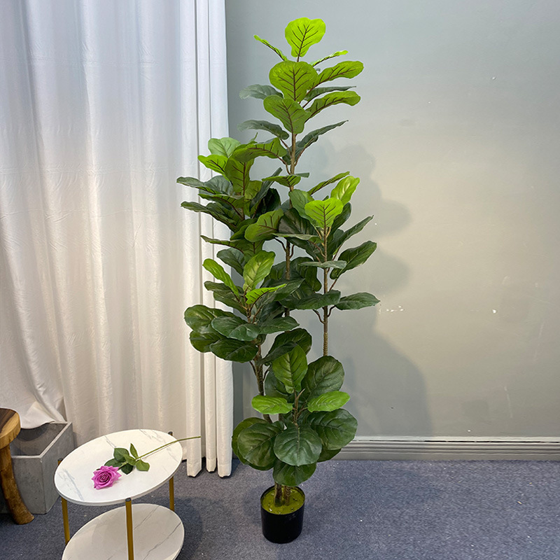 59in Large Ficus Tree Artifici - огляд і ціна Dracaena Marginata