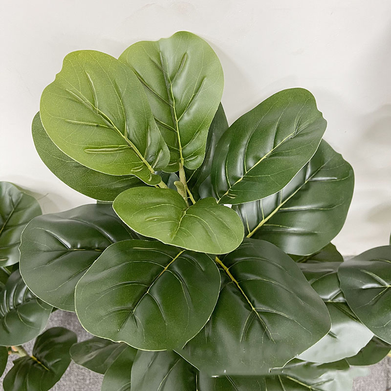 59in Large Ficus Tree Artifici - огляд і ціна Dracaena Marginata