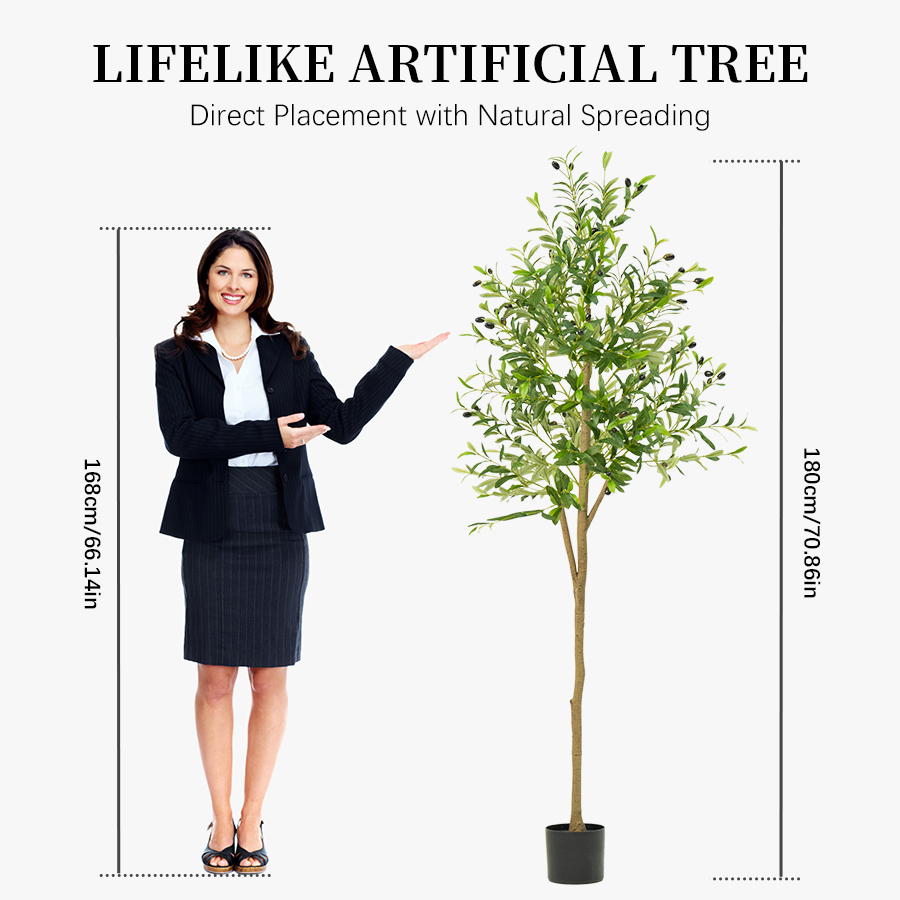 Artificial Olive Tree 120/150/ - огляд і ціна Dracaena Marginata