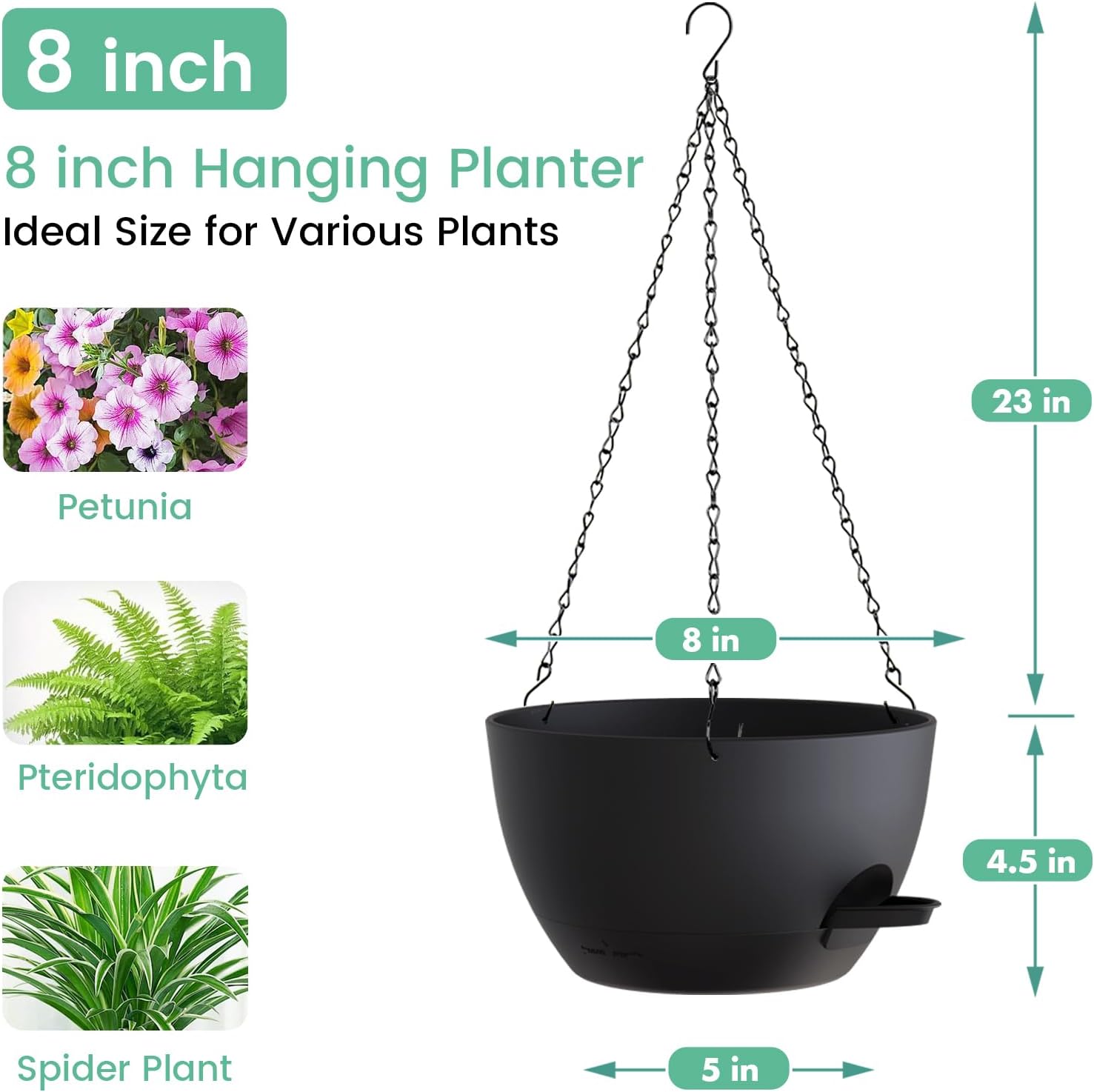 8 Inch Self Watering Hanging P - огляд і ціна Spider Plant Hanging