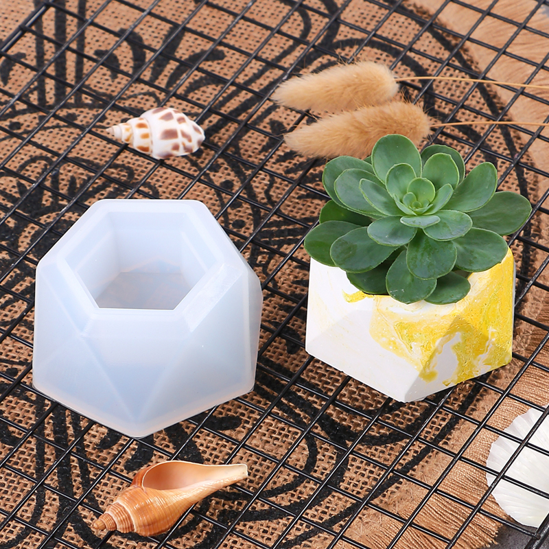 Succulent Flowerpot Silicone M - огляд і ціна Echeveria Succulent