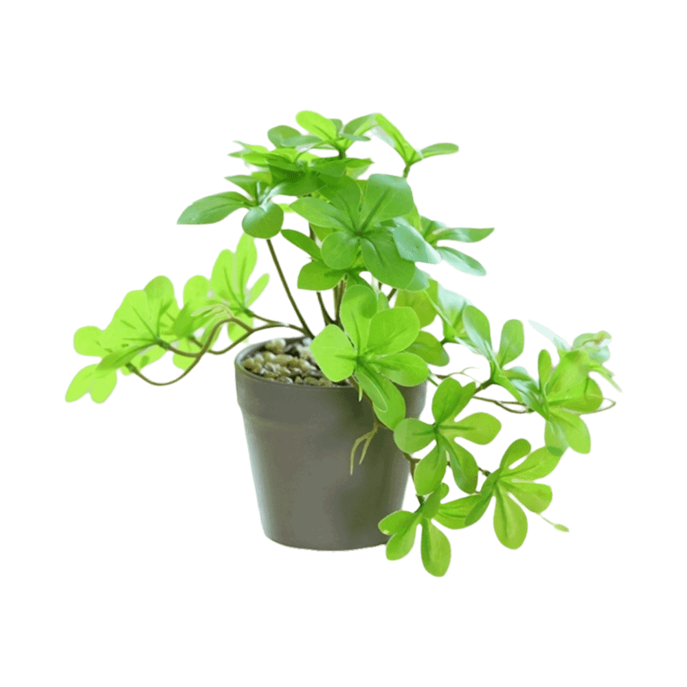 Bonsai Artificial Bonsai Plant - огляд і ціна Spider Plant Hanging
