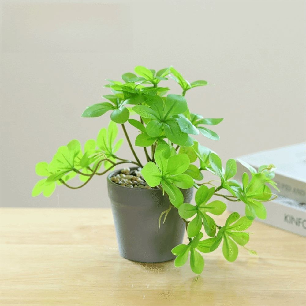 Bonsai Artificial Bonsai Plant - огляд і ціна Spider Plant Hanging