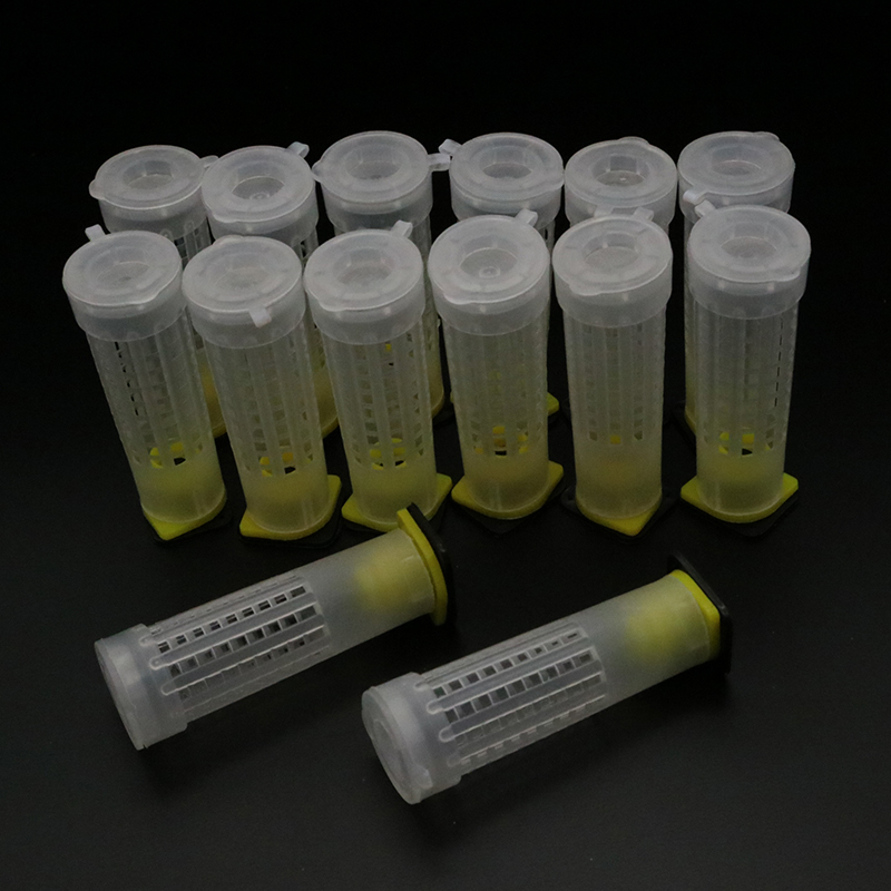 1 Set Bees Tools Cages King Qu - огляд і ціна Begonia Rex