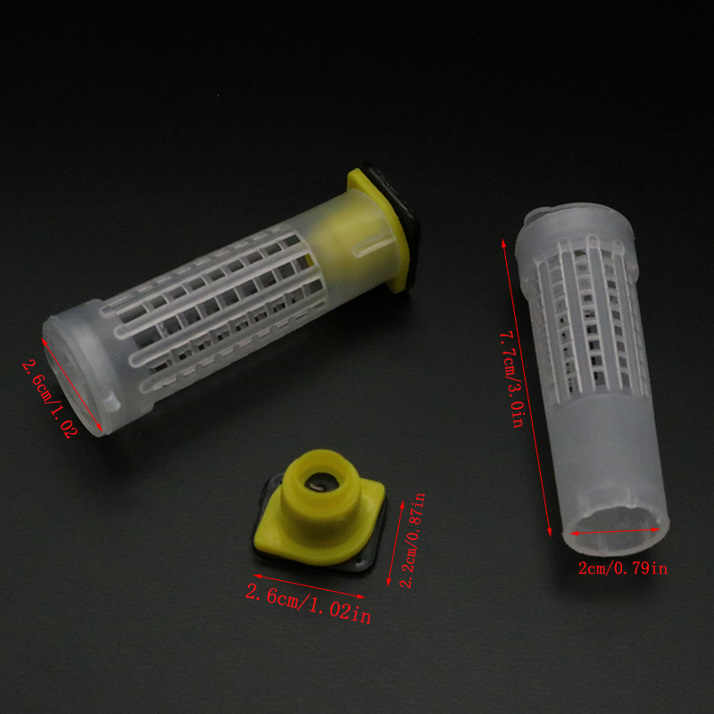 1 Set Bees Tools Cages King Qu - огляд і ціна Begonia Rex