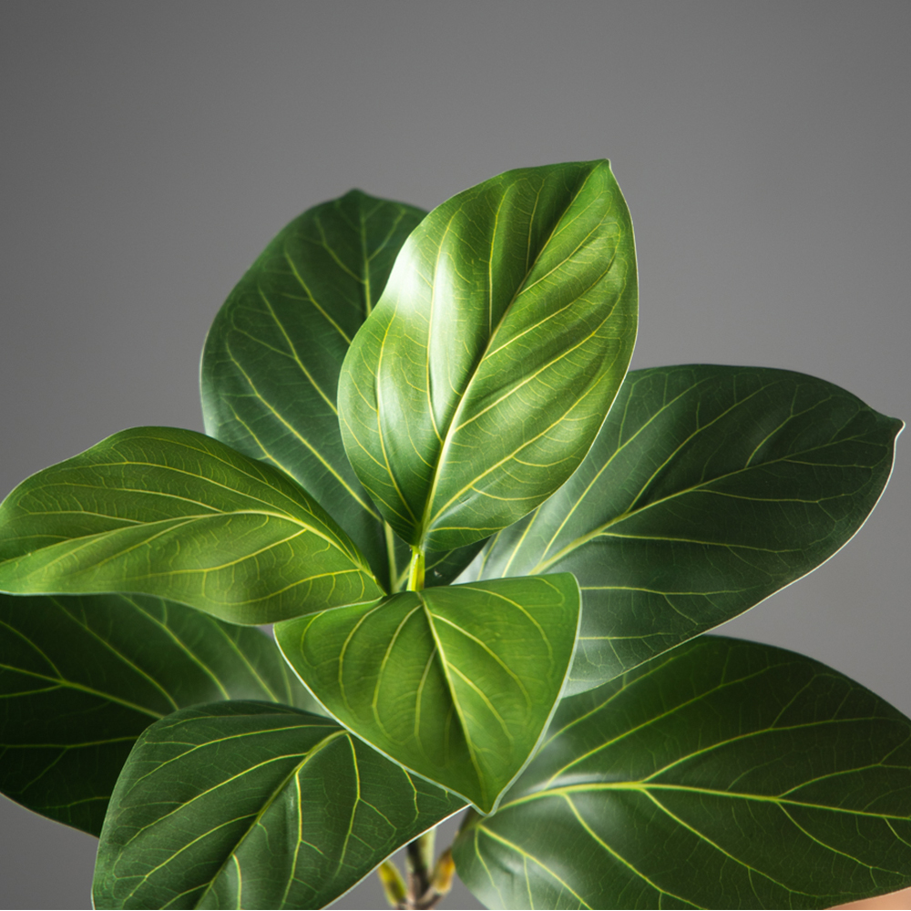 70-130cm Large Artificial Bany - огляд і ціна Ficus Lyrata Tree