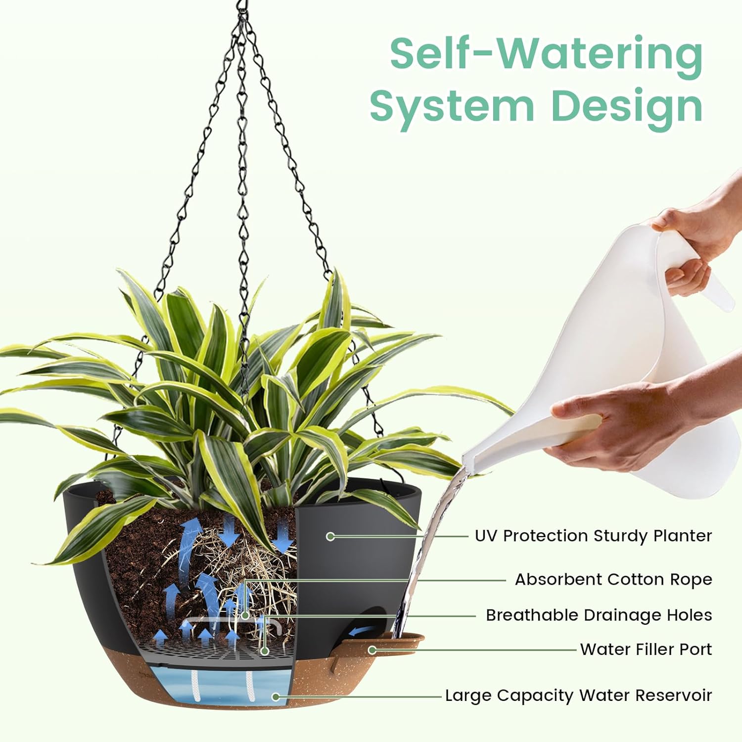 Self Watering Hanging Planters - огляд і ціна Spider Plant Hanging