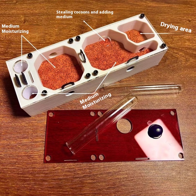 Ant Farm mini CC with External - огляд і ціна Begonia Rex