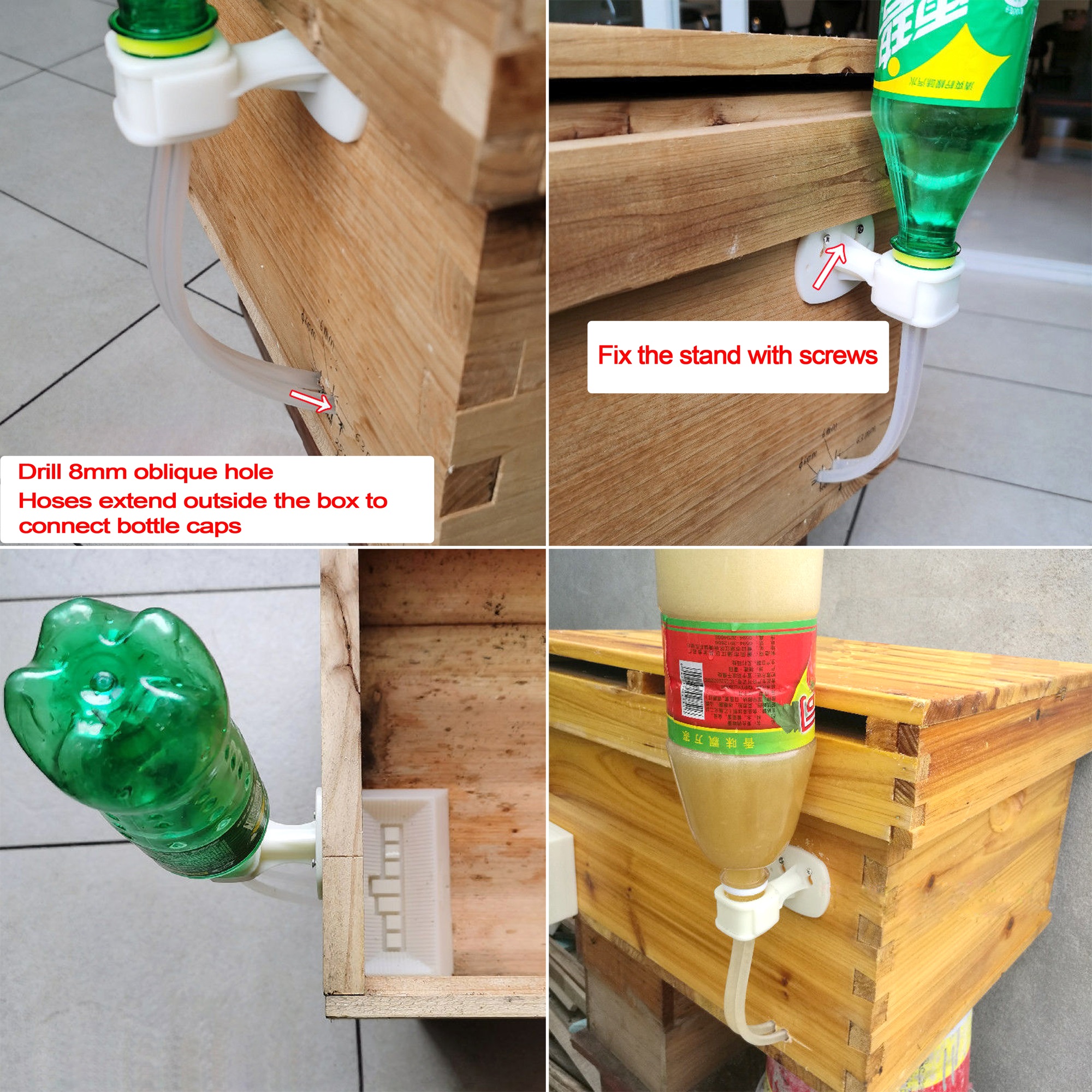 2Pcs Automatic Feeding Drinker - огляд і ціна Begonia Rex