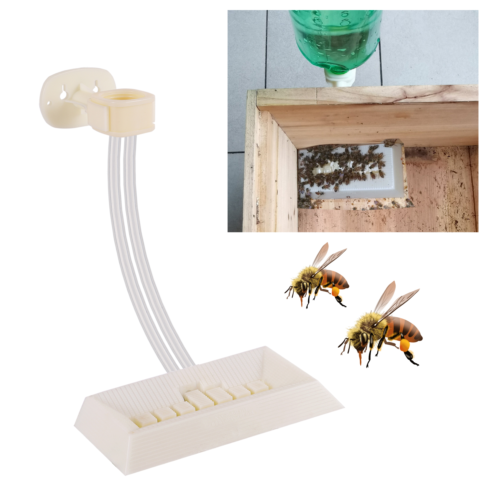 2Pcs Automatic Feeding Drinker - огляд і ціна Begonia Rex