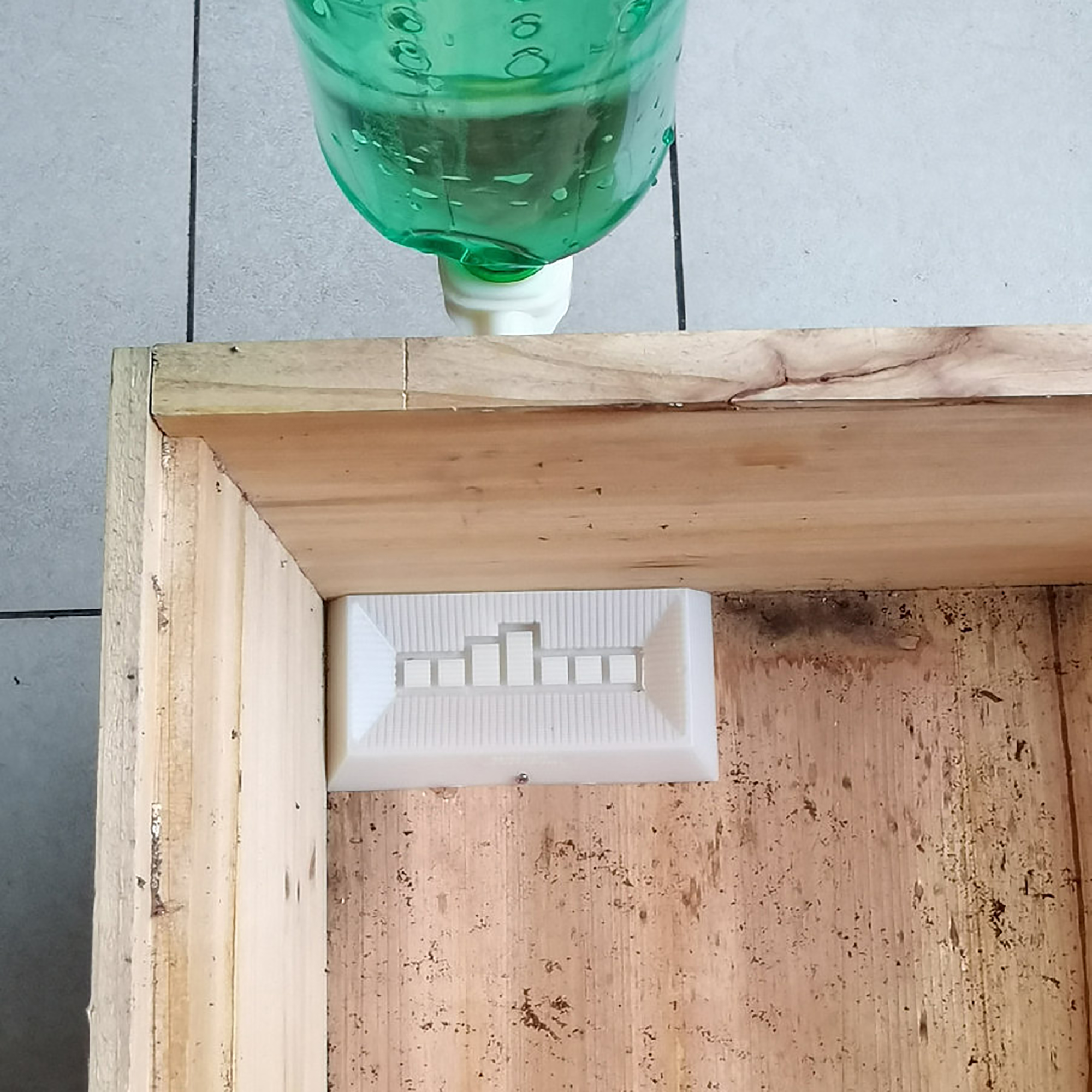 2Pcs Automatic Feeding Drinker - огляд і ціна Begonia Rex