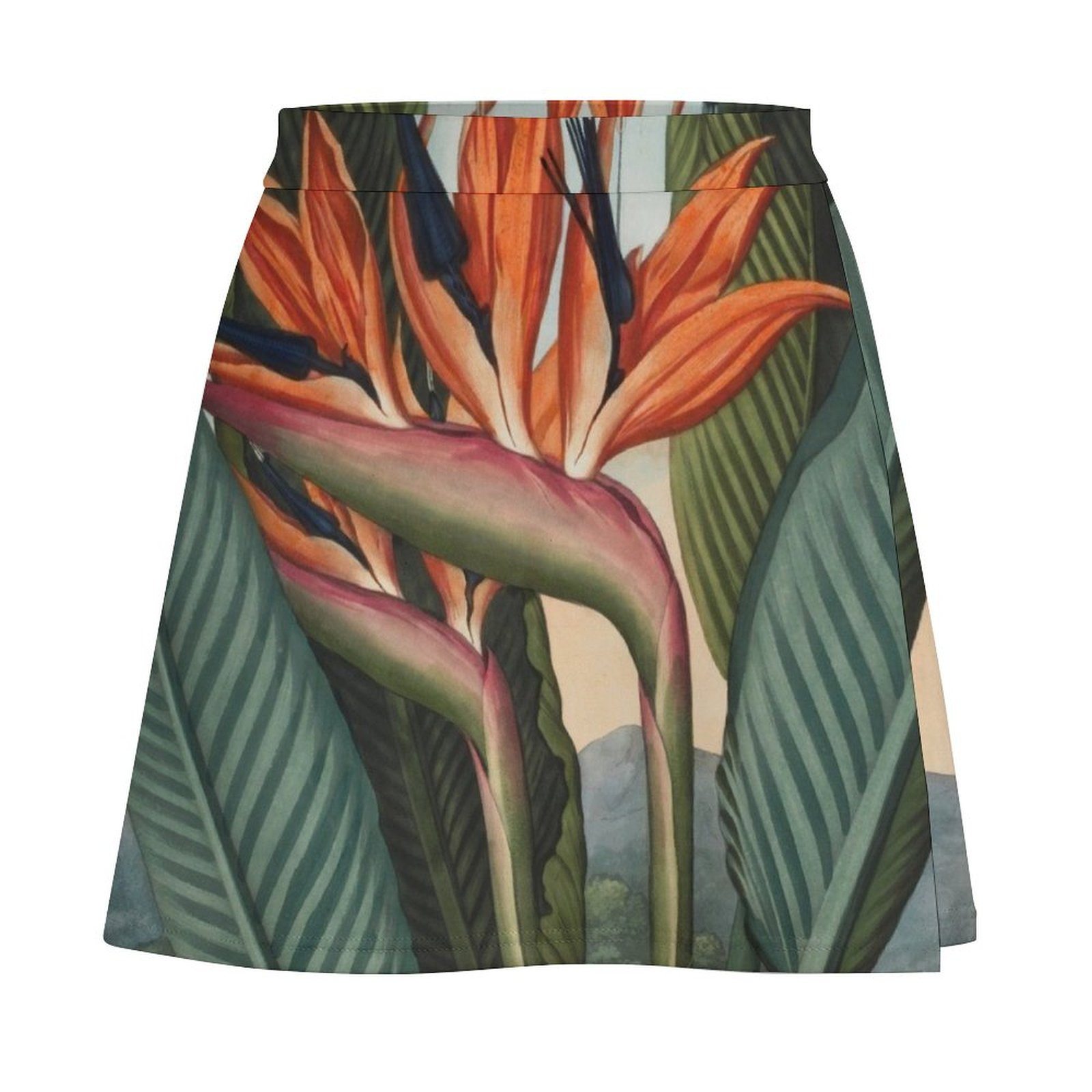 Botanical illustration: Bird o - огляд і ціна Bird Paradise Strelitzia