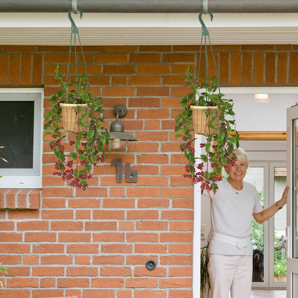 5Pcs Heavy Duty Hanging Basket - огляд і ціна Spider Plant Hanging