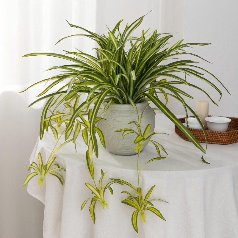 Artificial Spider Plant Chloro - огляд і ціна Spider Plant Hanging