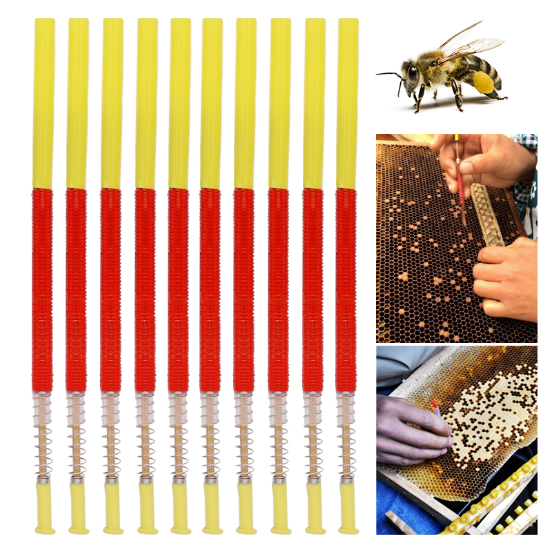 5/10Pcs Beekeeping Grafting To - огляд і ціна Begonia Rex