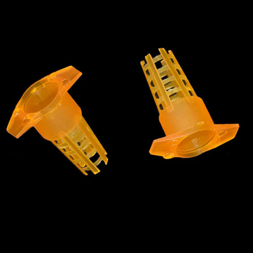 20 pcs Plastic Bee Queen Cage  - огляд і ціна Begonia Rex