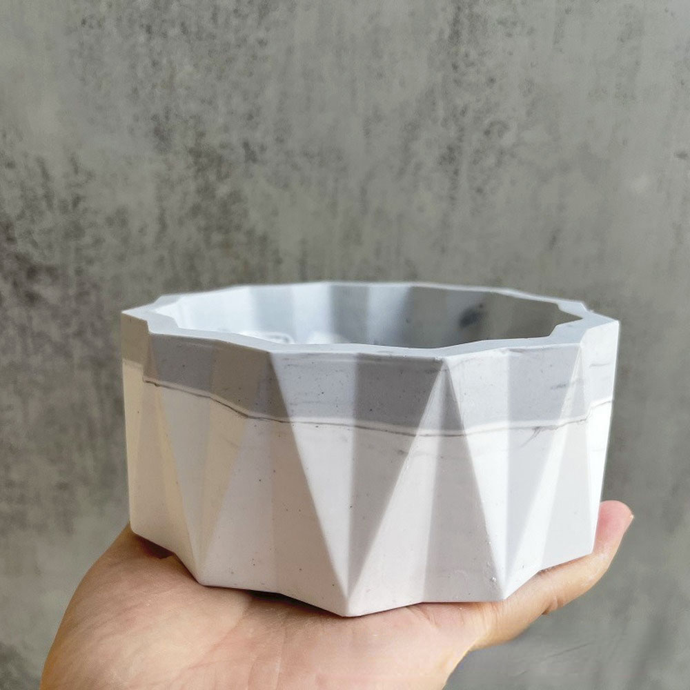 For Fun Flower Pot Silicone Mo - огляд і ціна Echeveria Succulent